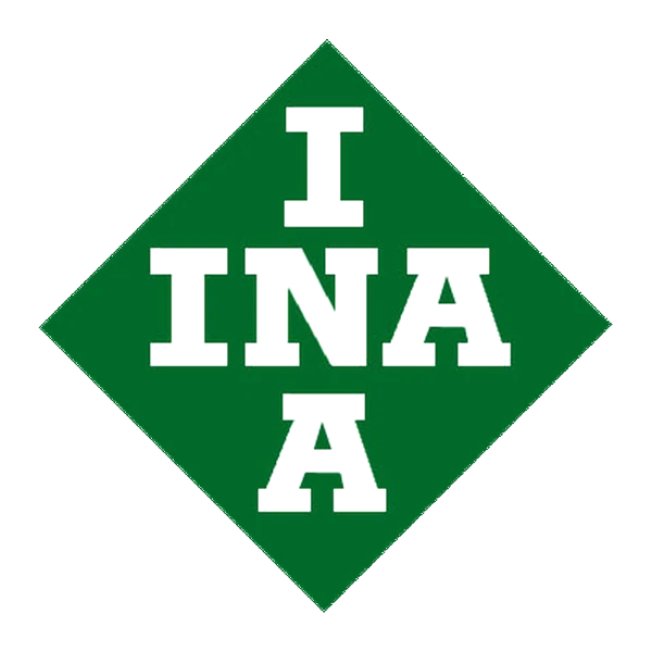 INA Bearings Supplier India